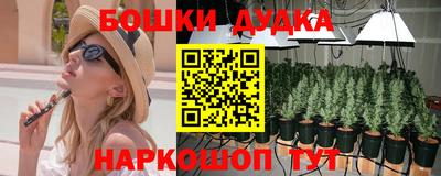 mdpv Бийск