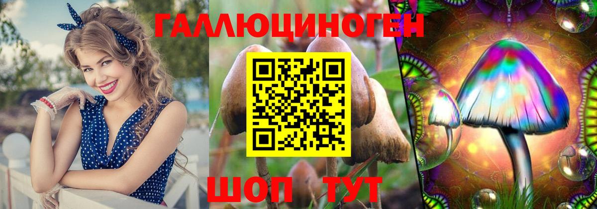 Псилоцибиновые грибы Cubensis  Вход с VPN  Всеволожск 